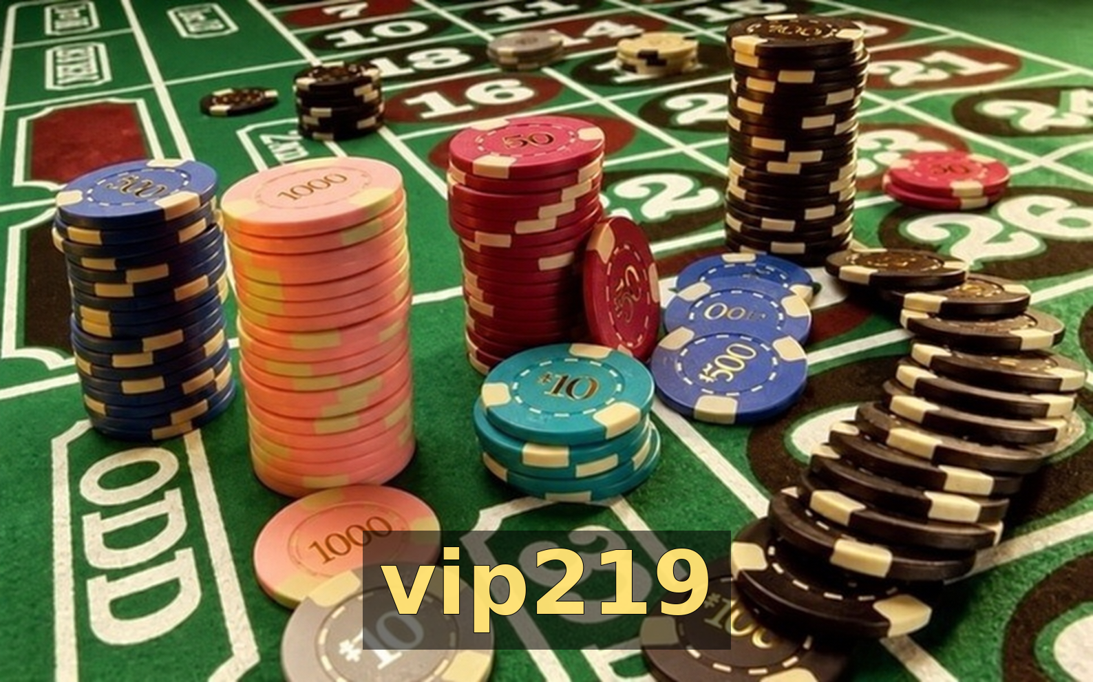 Como a vip219 se destaca em segurança online