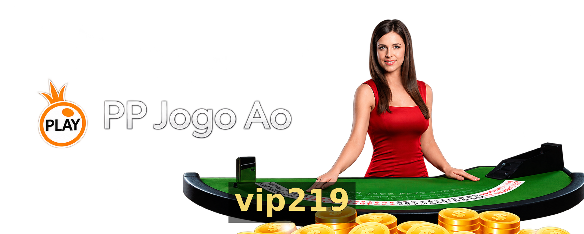 vip219 Segurança