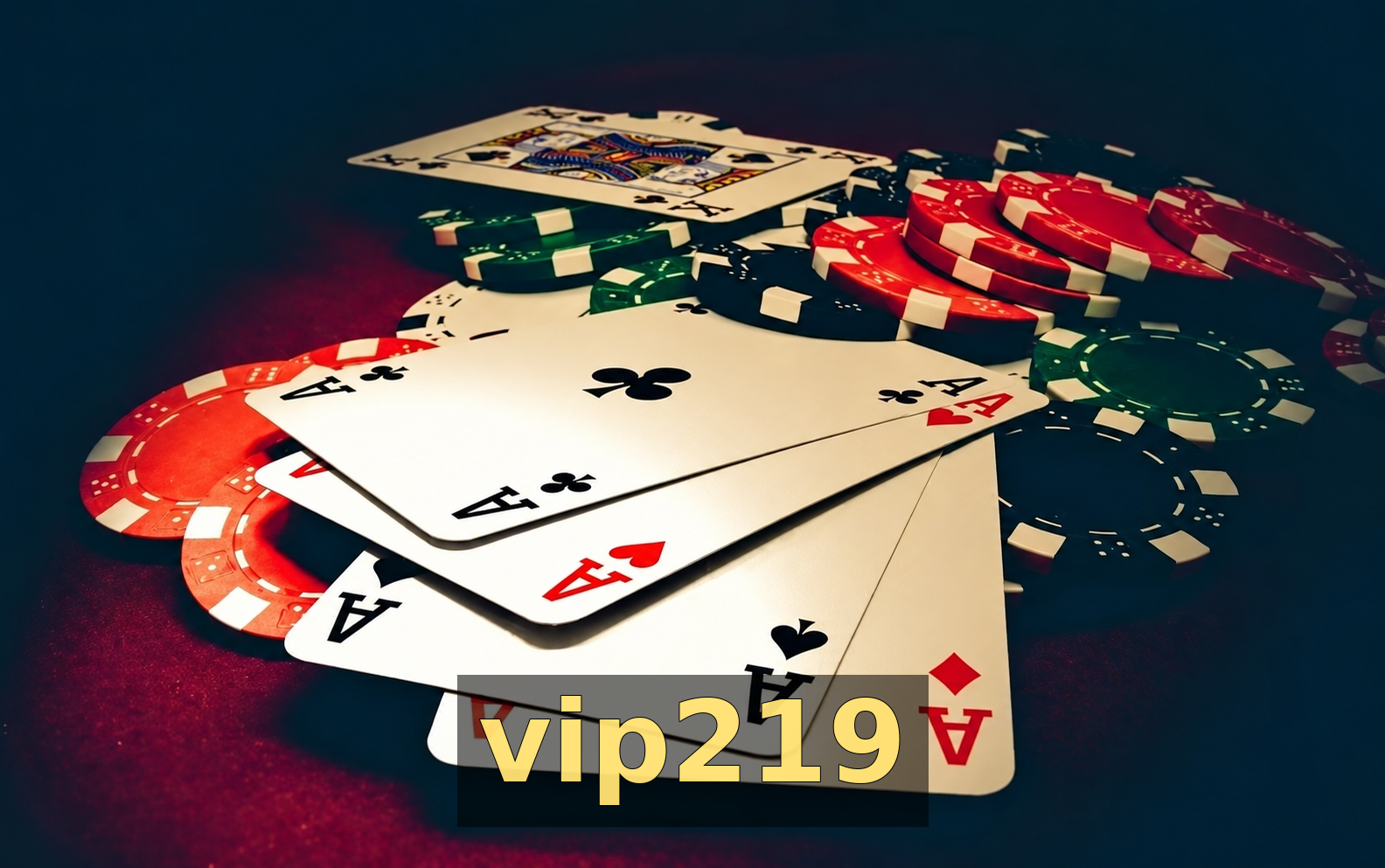 vip219 VIP